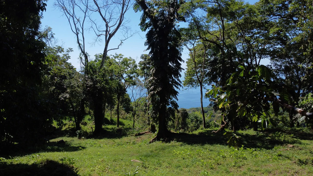 Exclusive 5.80 acres Ocean View Estate Lot in Costa Verde Estates – Escaleras - Gallery image 15