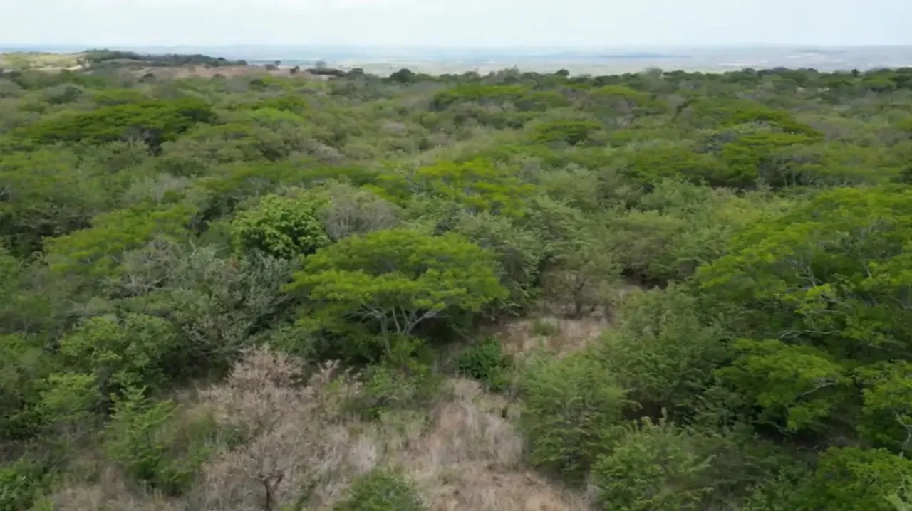 Land for Sale in Liberia, Guanacaste - Gallery image 7