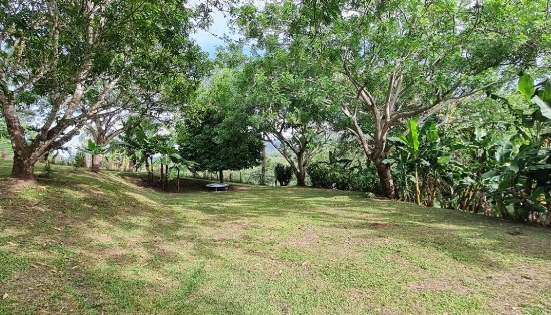 VILLA VIDA TRANQUILA - Modern Bright Home on Lake Front Property-DRASTIC REDUCTION FROM $585,000 - photo 37