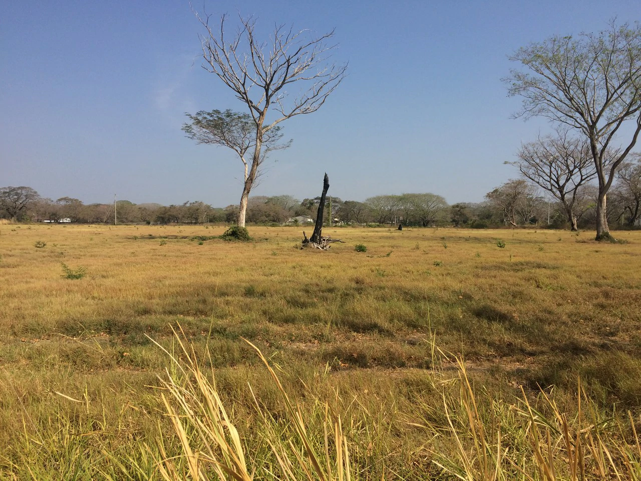Lotes desde los 5 mil metros en Liberia Centro: Development Parcel For Sale in Liberia