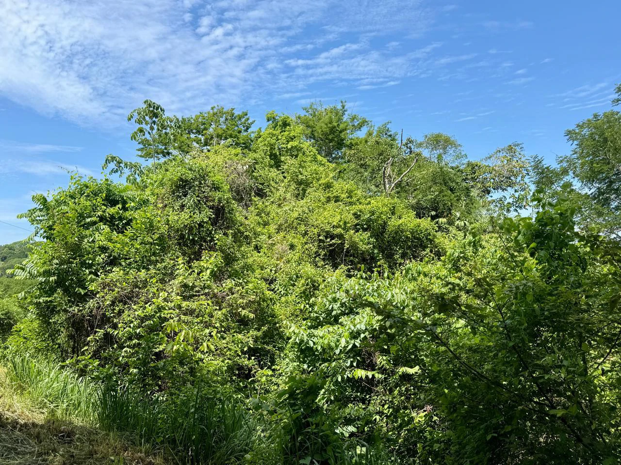 Ocean View Lot for Sale Coyote Beach Guanacaste Costa Rica - Gallery image 18