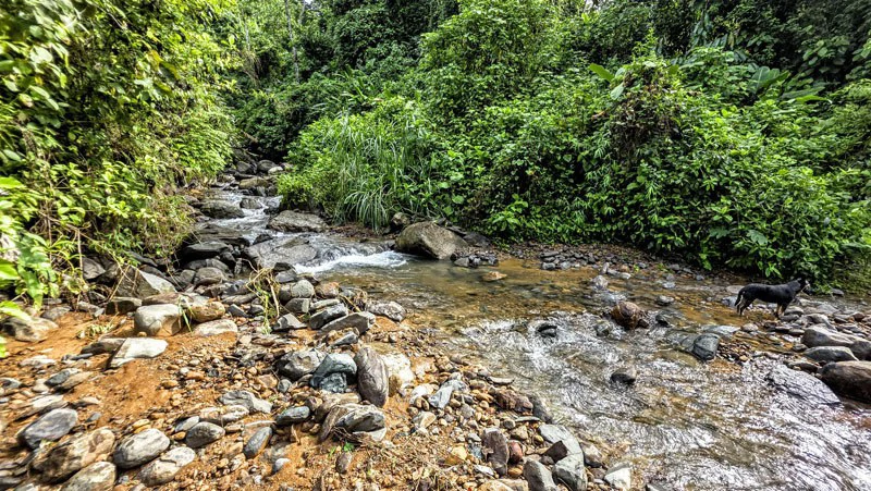 Waterfall Estate, Dos Bocas, Dominical Featuring Twin Waterfalls, Springs, Creeks & Rivers - Gallery image 17