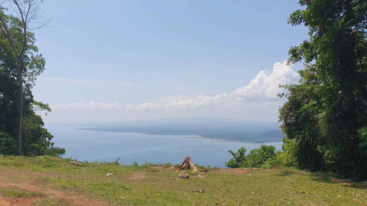 CONSERVATION AND DEVELOPMENT LAND WITH OCEAN VIEW IN SIERPE, COSTA RICA - Gallery image 41