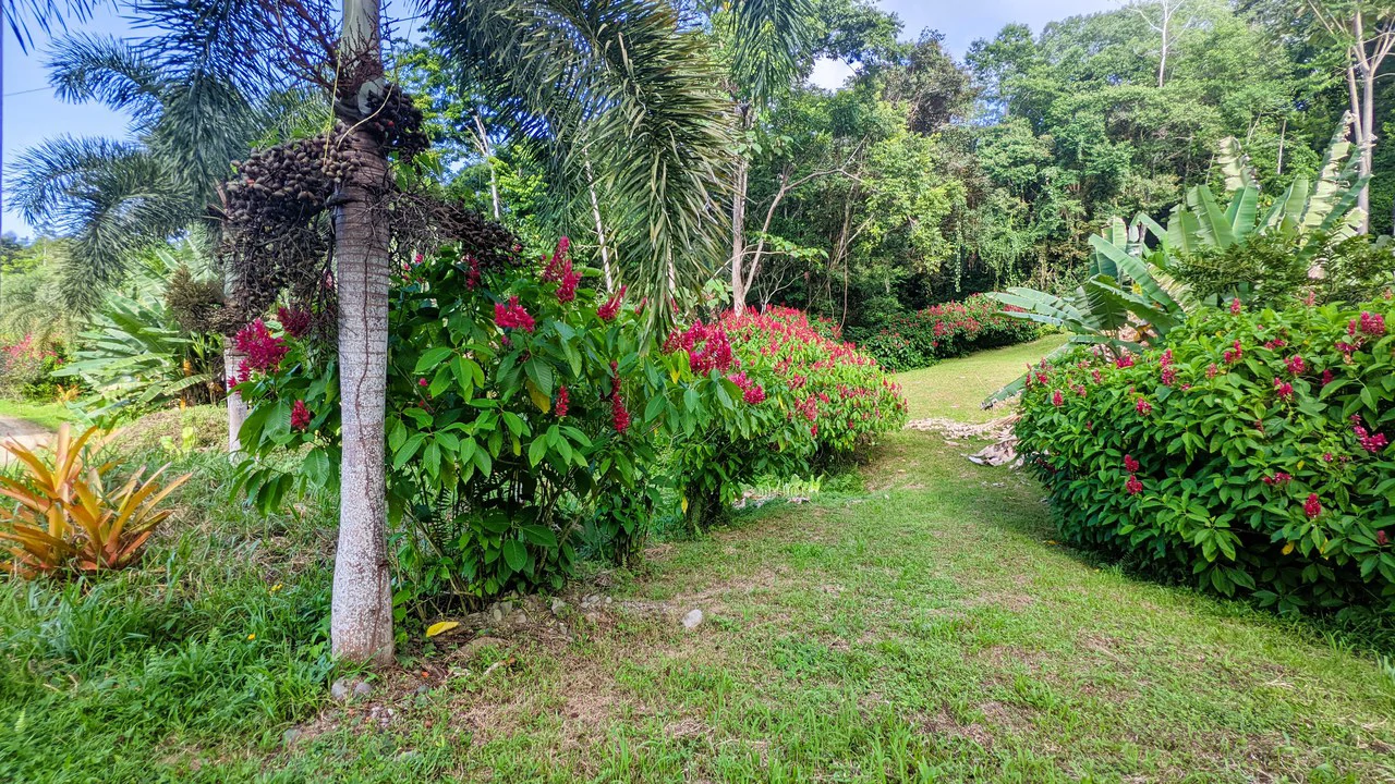 ID 4203: Land in Gated Community, Owner Financing available - Gallery image 3