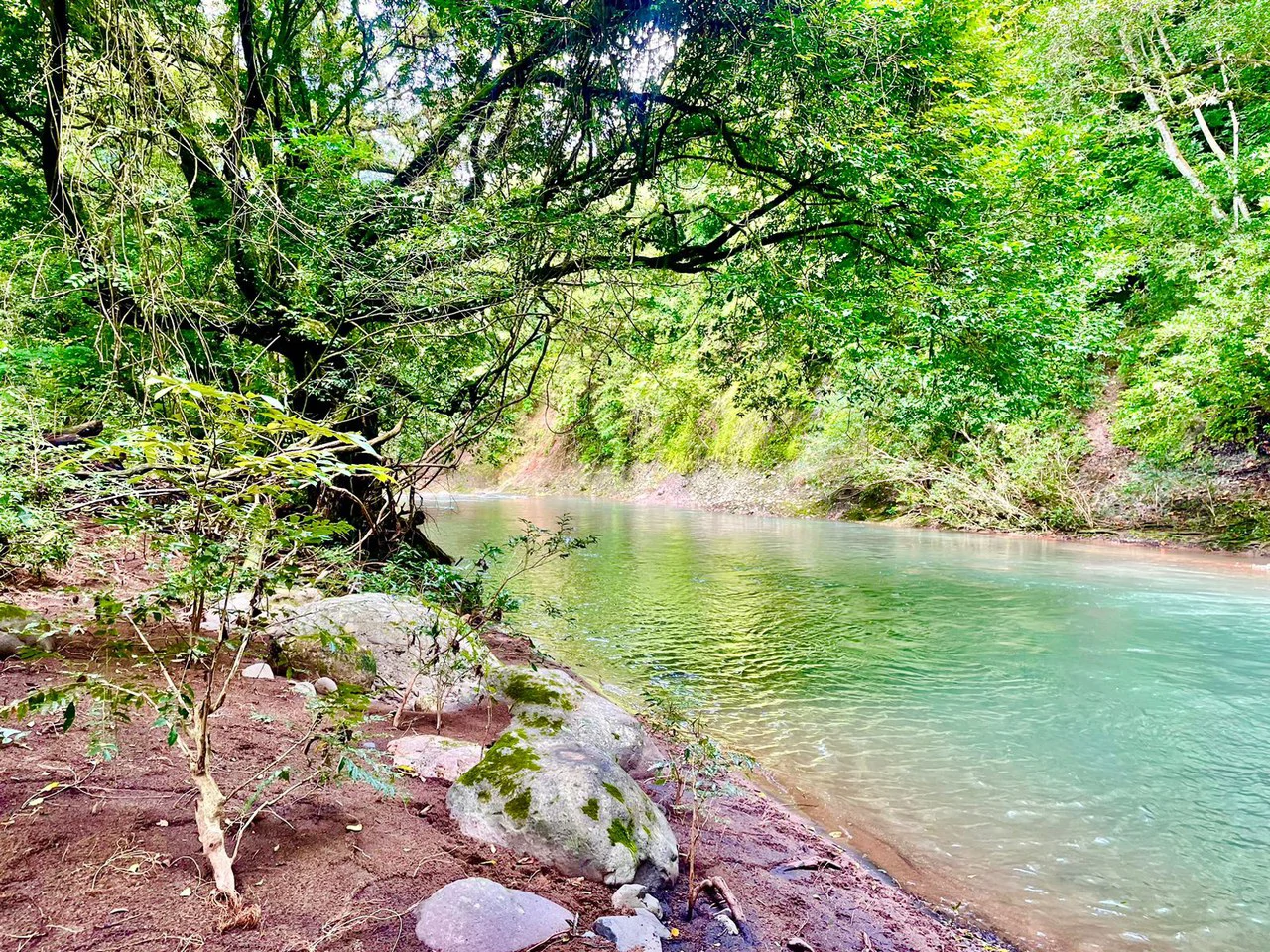 Property for Sale for Tourism Development with River in Orotina Alajuela Costa Rica - Gallery image 3