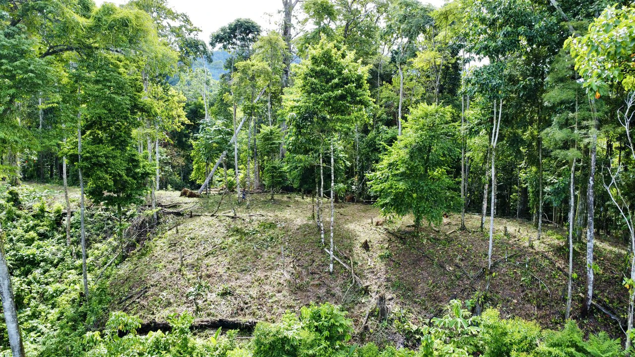 Marvelous Ocean View Parcel in Uvita. - Gallery image 6