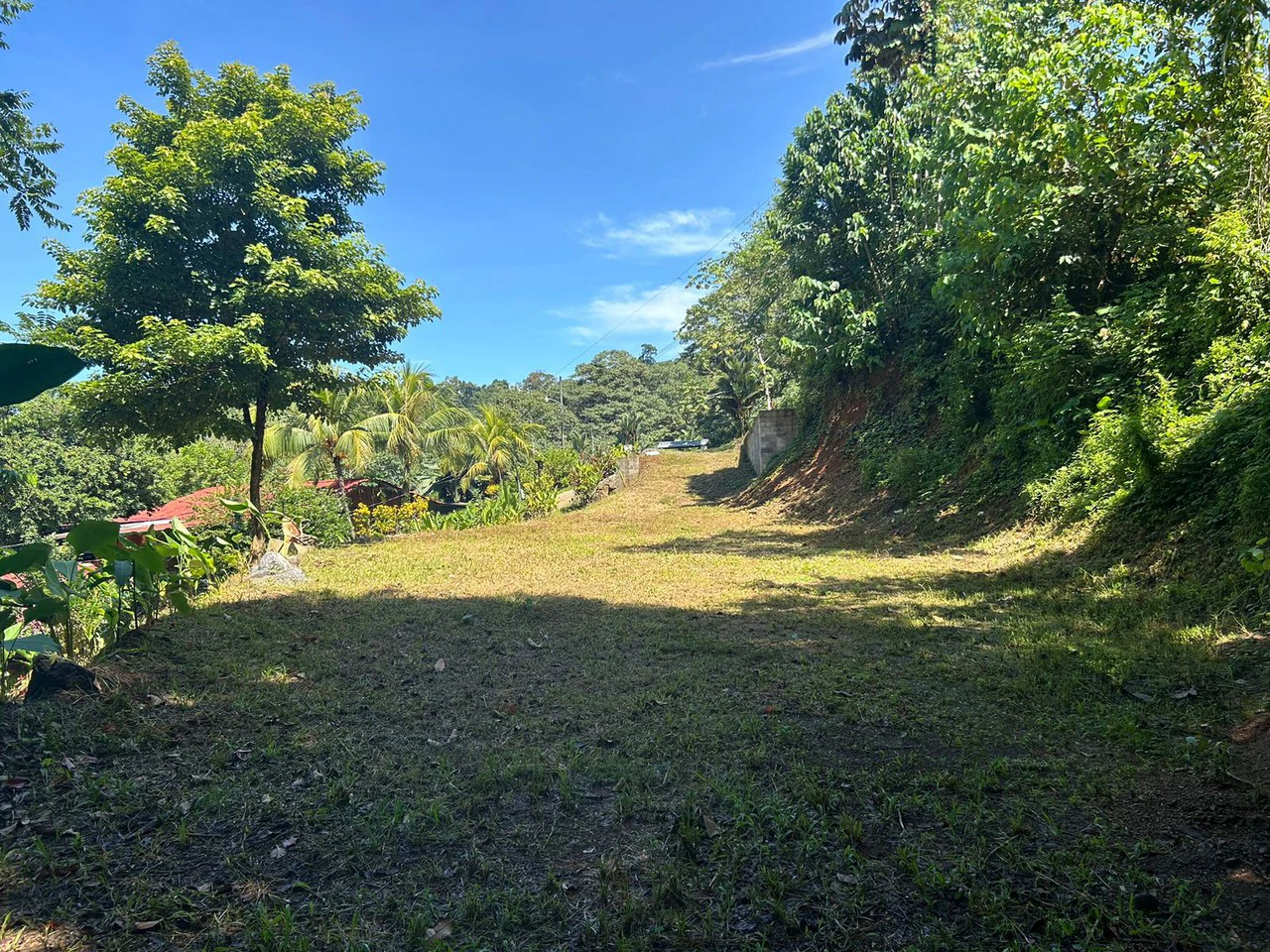 Reasonable Lot for sale in Uvita - Gallery image 9