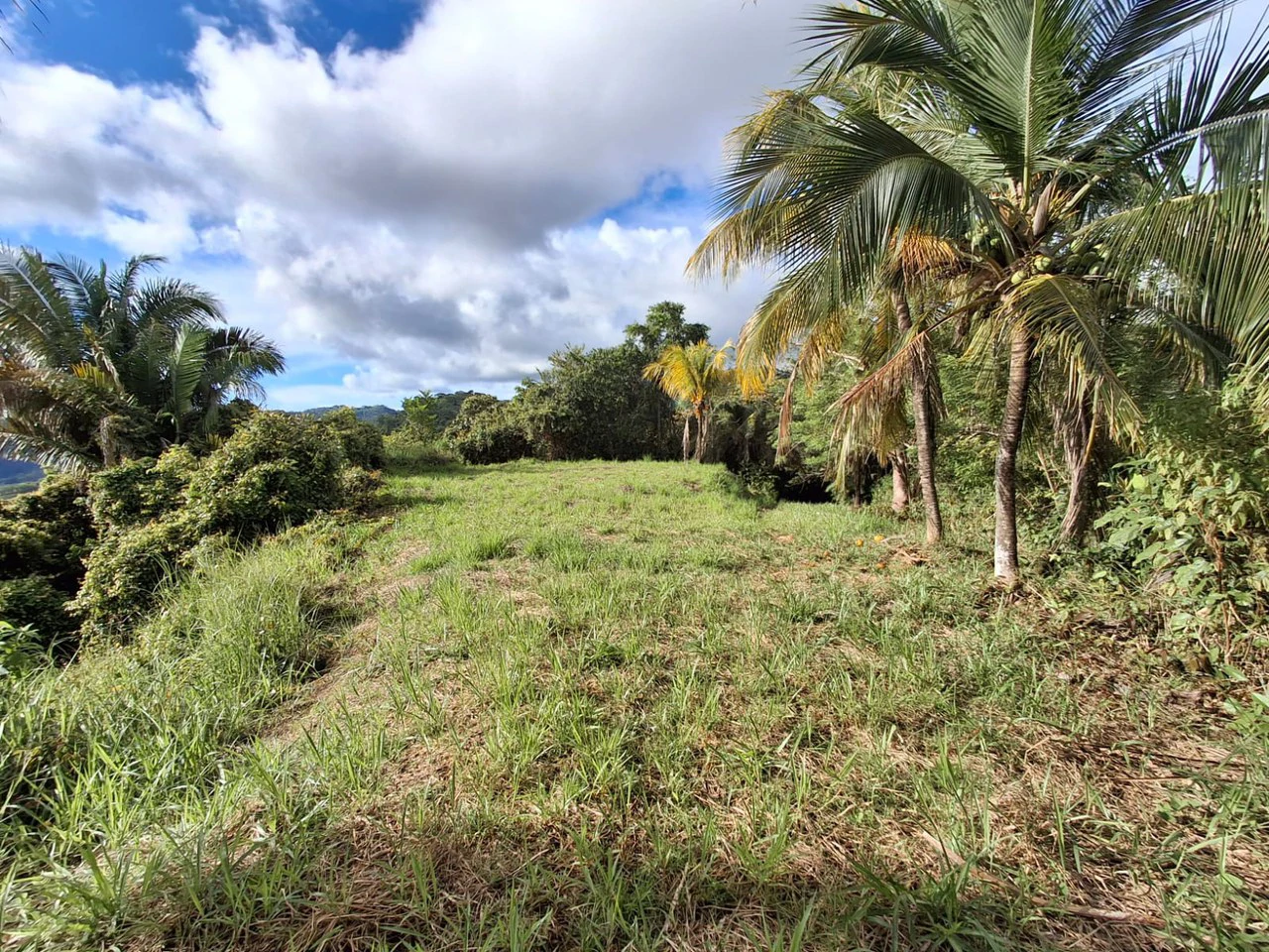 Hilltop Ocean Paradise: 10 ha (103,600m2) for private compound or development - Gallery image 8