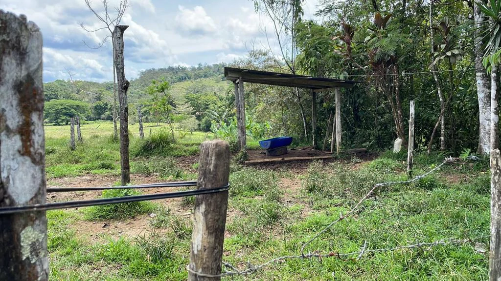 Building potential property for sale, beautiful land in the pure nature close to Bijagua - Gallery image 28