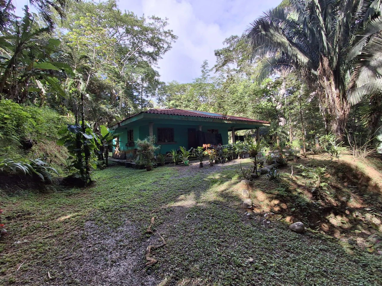 Hilltop Ocean Paradise: 10 ha with Ocean Views! - Gallery image 5