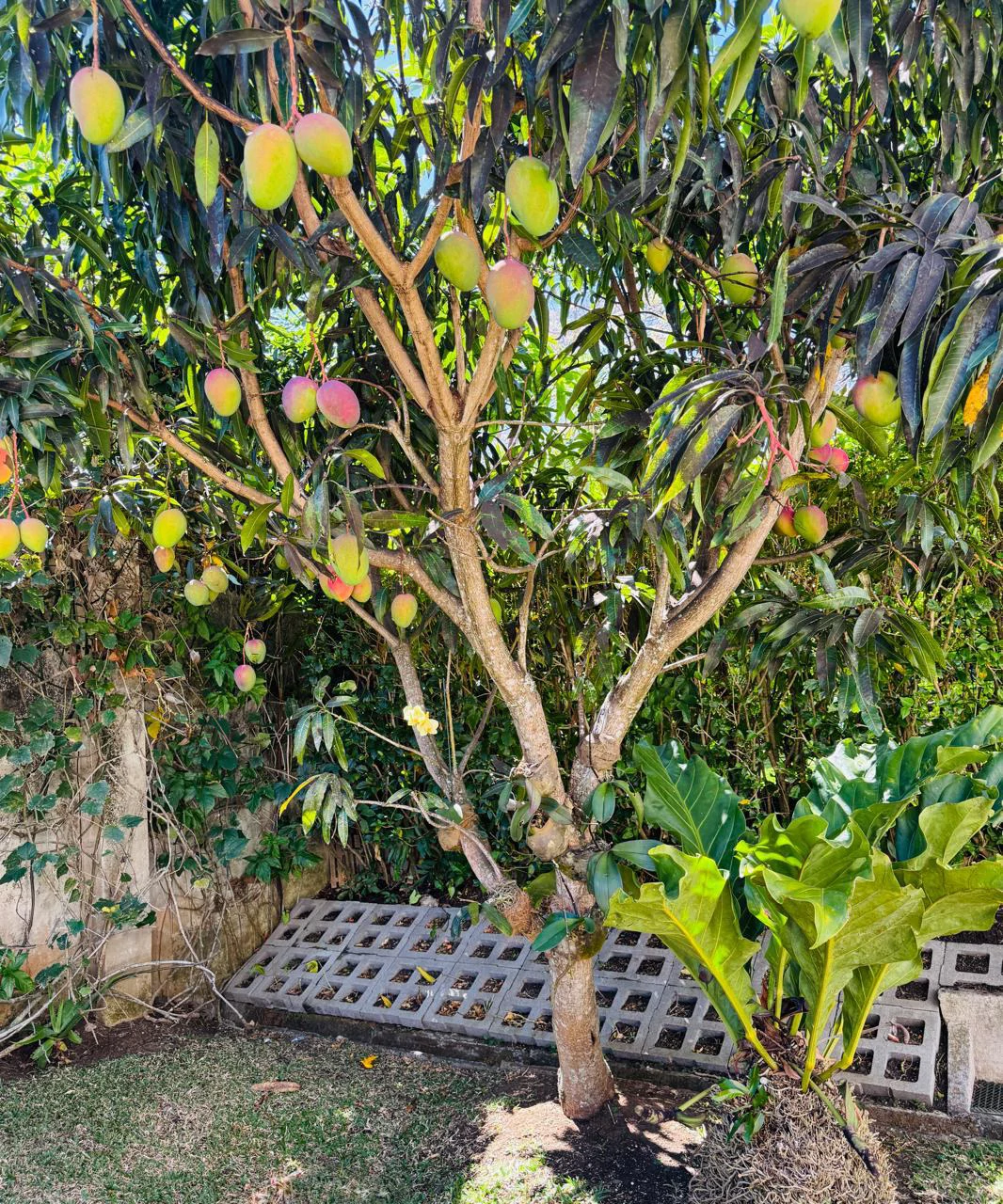 House for Sale in Exclusive Gated Community with Spacious Garden Santa Ana Costa Rica - Gallery image 2