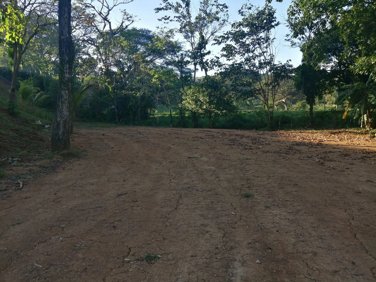 Rancho Monterrey Residential Lot 01: Beautiful and spacious lot with water and electric in place! - Gallery image 8