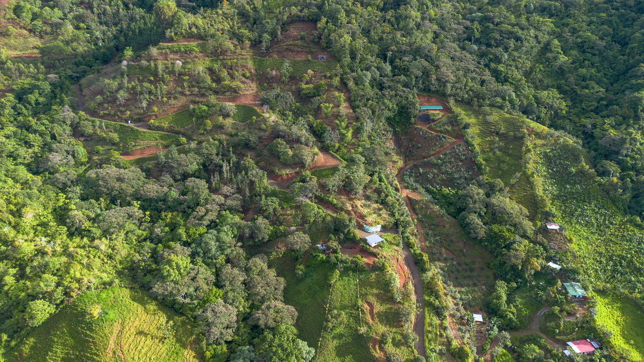 10.21 Acres with Views & Plantels – Pérez Zeledón - Gallery image 29