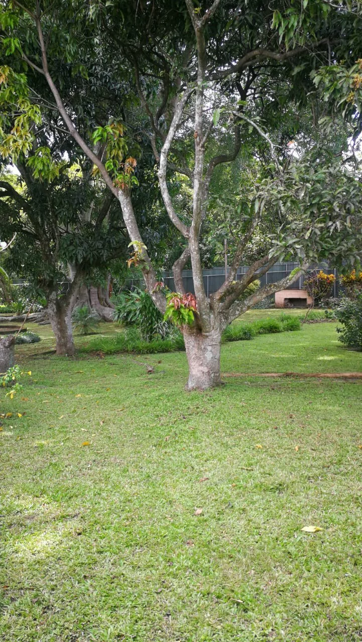 Home Construction Site For Sale in Escazú - Gallery image 4