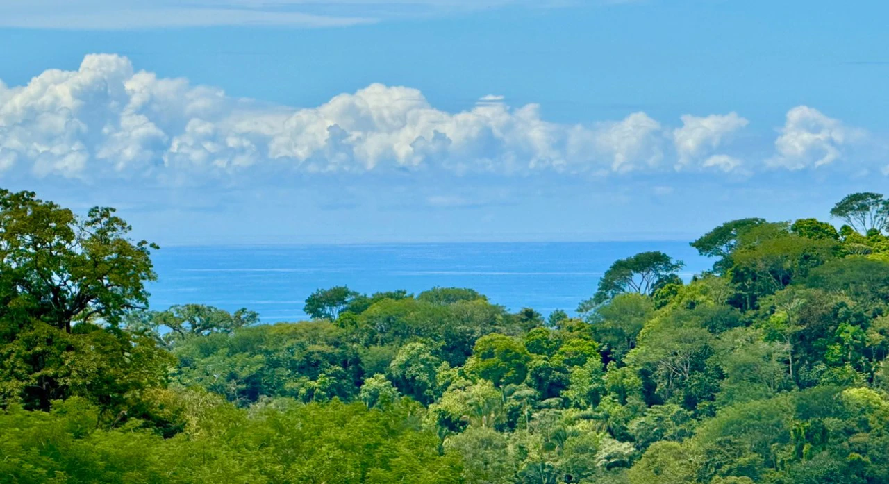 Spring and Waterfall!  3,2 Acres lot in Uvita Mountains - Gallery image 3