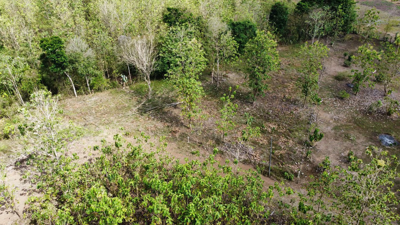 Off the grid property | Located in a privileged area, surrounded by natural beauty: Mountain Home Construction Site For Sale in Damas - Gallery image 2