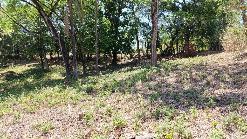 Lote Del Bosque: Buildable Lot with Mountain Views – Prime Location in Playa Carrillo - Gallery image 8