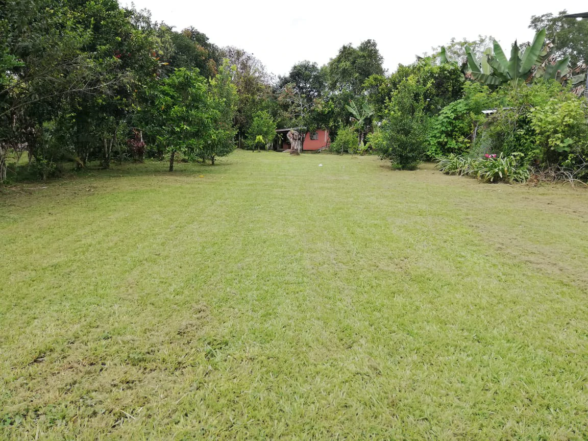 LOTE PLANO CON FRUTALES: Mountain Home Construction Site For Sale in General Viejo - Gallery image 8