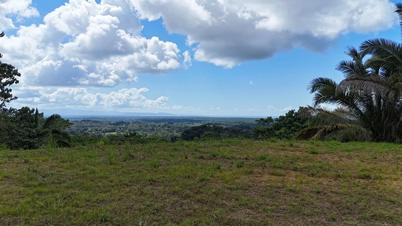 Gorgeous Ocean View Acreage in San Buenas - Gallery image 9