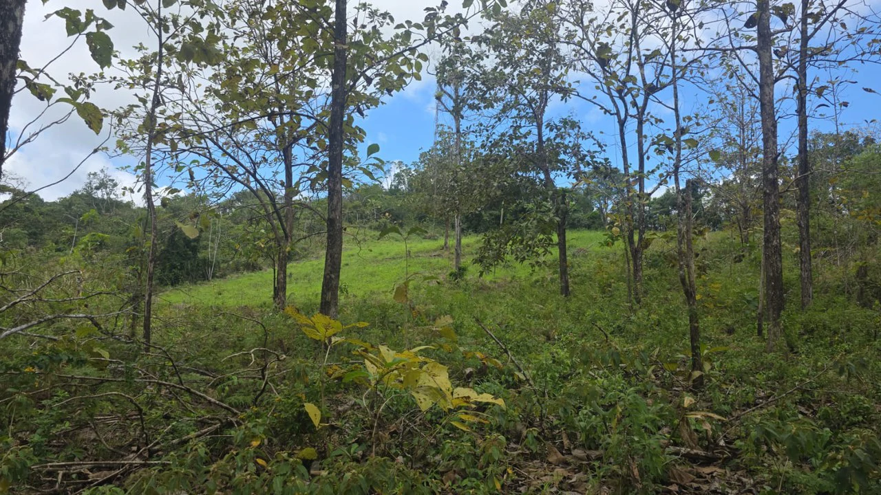 Expansive Year-Round Green Agricultural Property with Rolling Hills and a River – One Hour from Liberia - Gallery image 12
