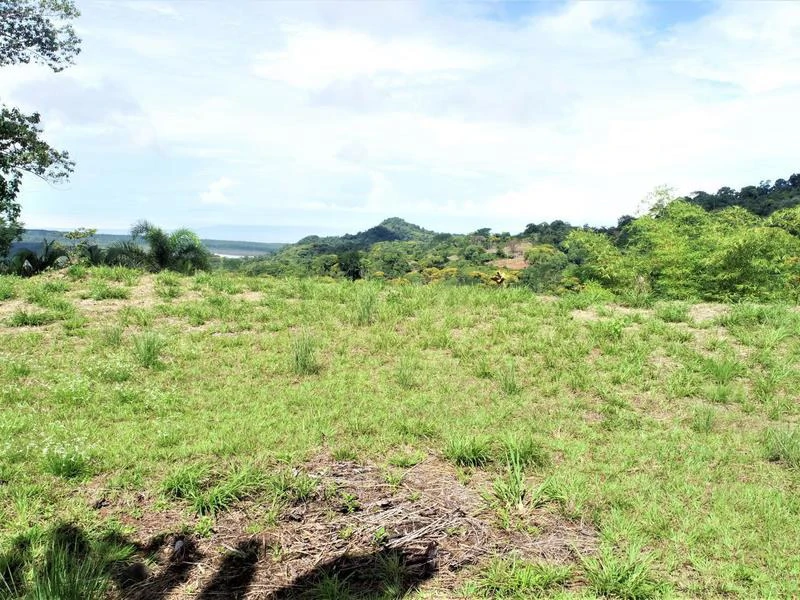 Captivating 3.15-Acre Property: Huge Pricedrop! Firesale Oceanview Lot in Tres Rios - Gallery image 11
