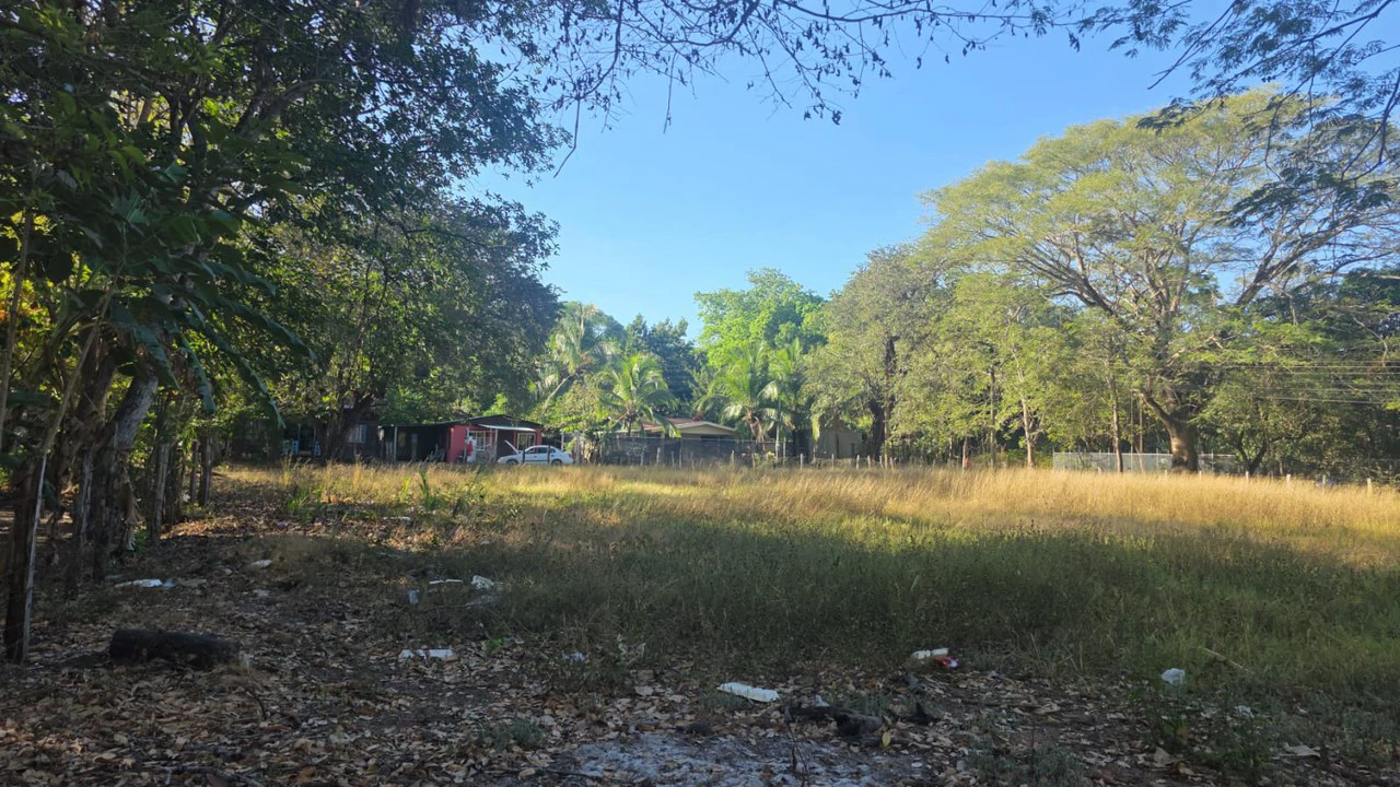 3 Commercial lots for sale in Artola with 70 m of public road frontage