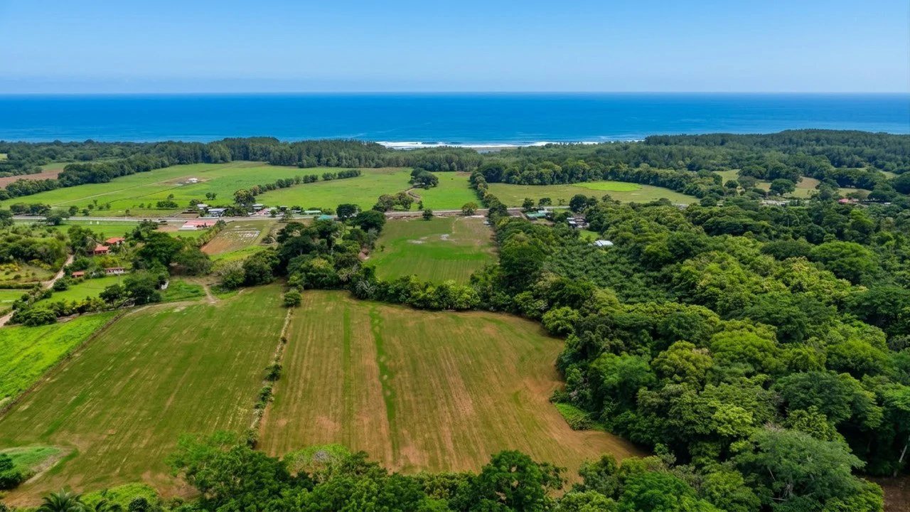 Near the Coast Agricultural Land For Sale in Matapalo - Gallery image 6