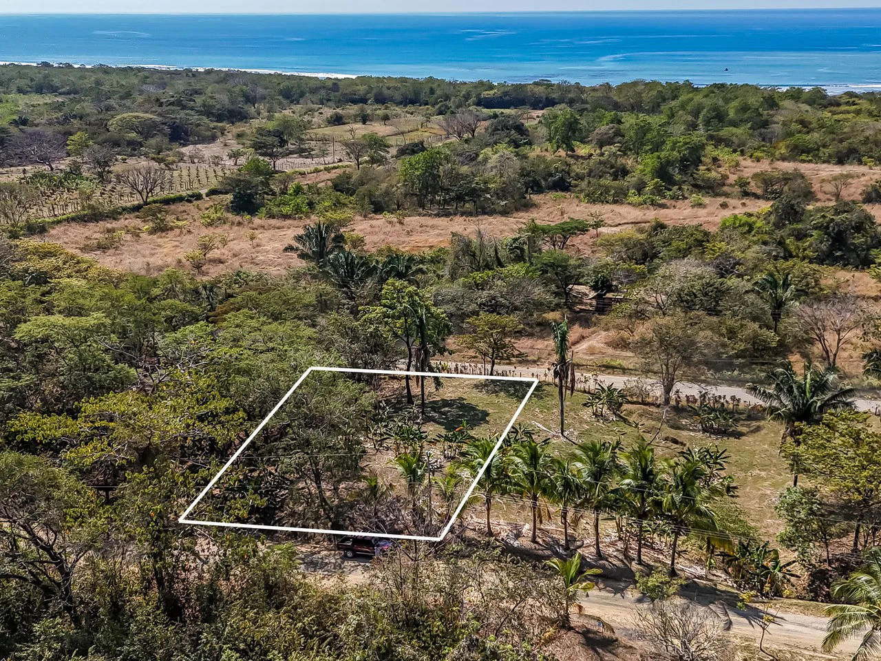 Lote Camaronal Natural: Half Acre Lot Just Mins to the Surf - Gallery image 11