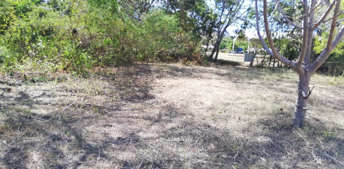 Property in Coco Beach - Gallery image 2