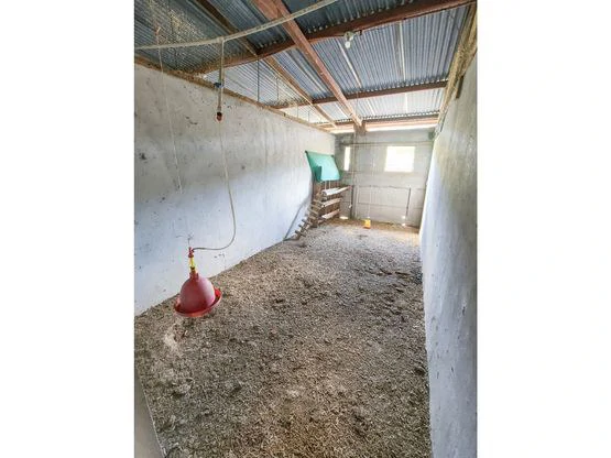Serene Jungle Farm in Limon Province - Gallery image 60