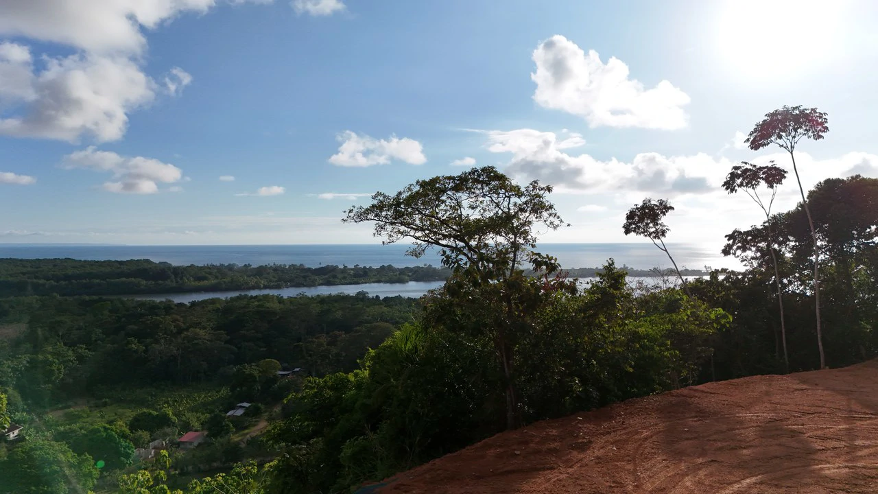 Stunning Ocean and Terraba River view property in Ojochal - Gallery image 5