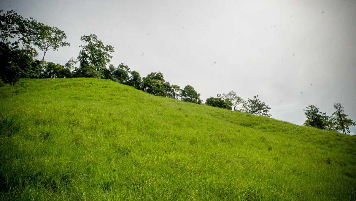 Rincon Massive Acreage and Gulf of Dulce Views - Gallery image 25
