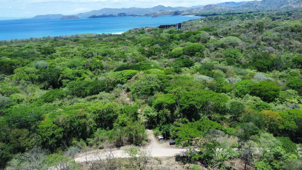 5.67 Hectares in Puerto Viejo: Prime Development Parcel Just 2 Mins from the Beach - Gallery image 16