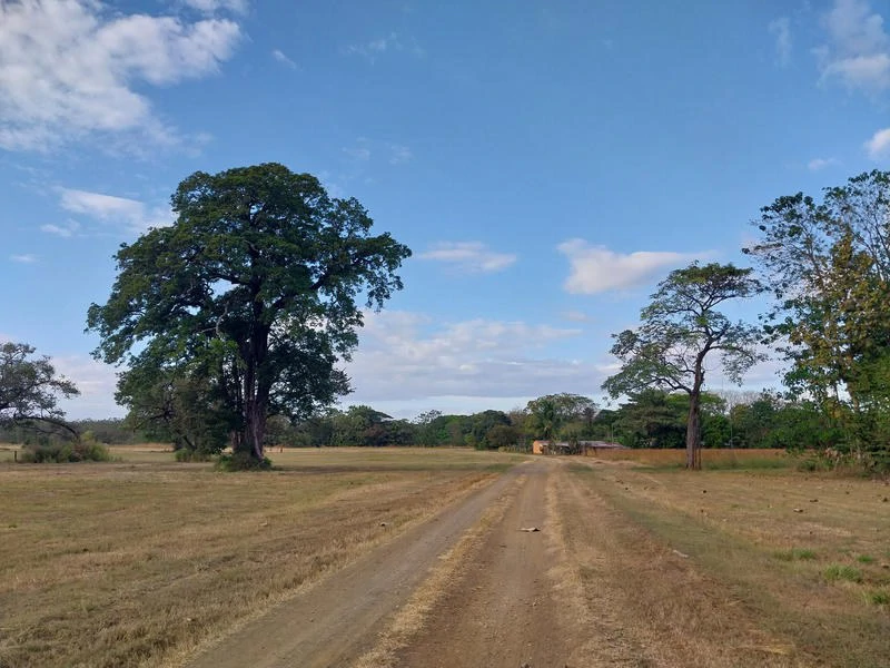 Development Parcel For Sale in Santa Cruz - Gallery image 4