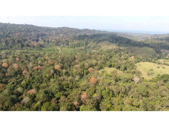 Finca Nanabri: Farm and Ecotourism Land for Sale in Penshurst - Gallery image 3