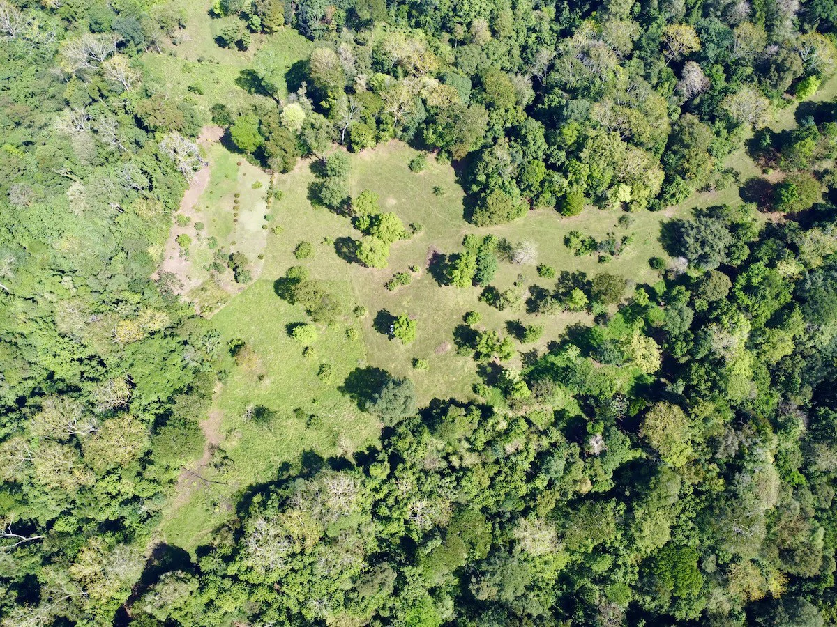 Ideal Osa Peninsula Property for Estate or Homestead