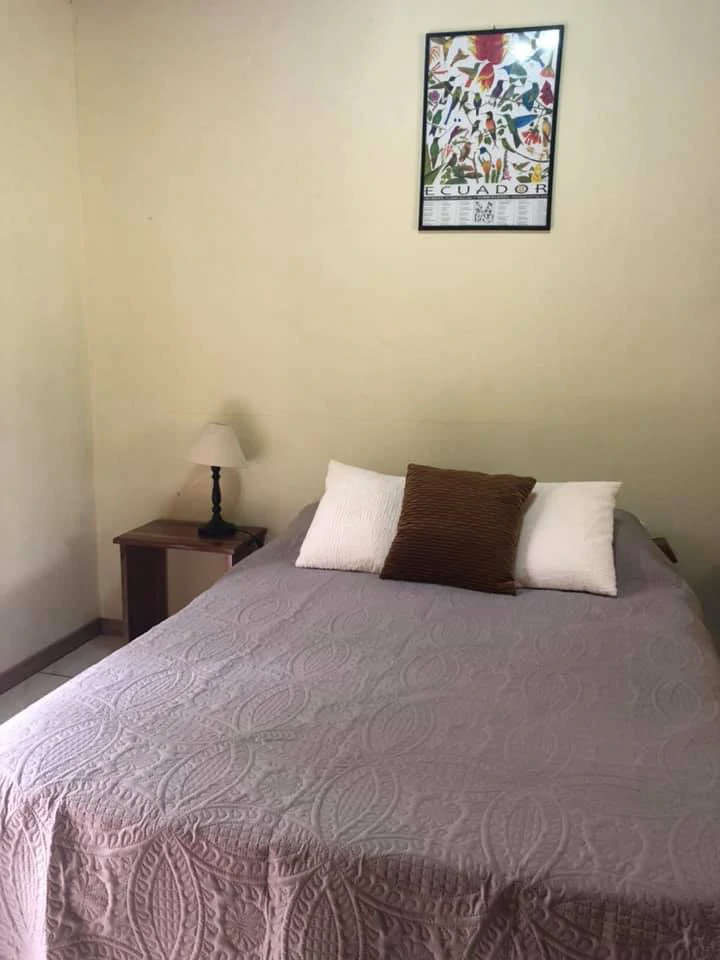 2 Acres with 4 houses Centrally located in Monteverde BV0224: Turn-Key Accommodations Business on 2 Acres Just 5 Minutes from Santa Elena – Surrounded by Nature, Ready to Grow - Gallery image 48