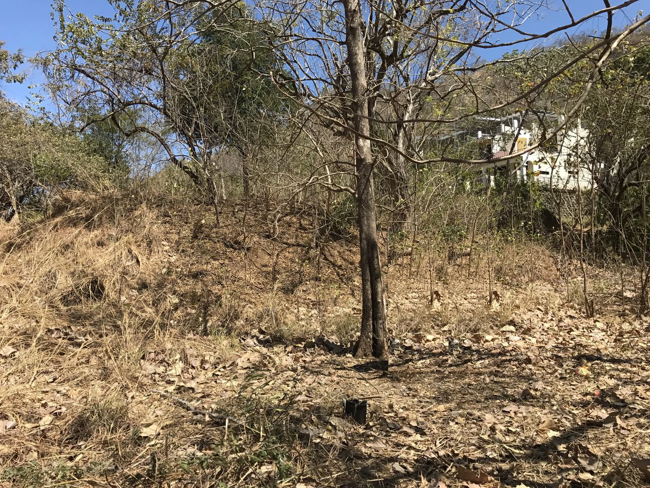 Beach Properties in Playas del Coco: Great opportunity, property close to center of Playas del Coco - Gallery image 5