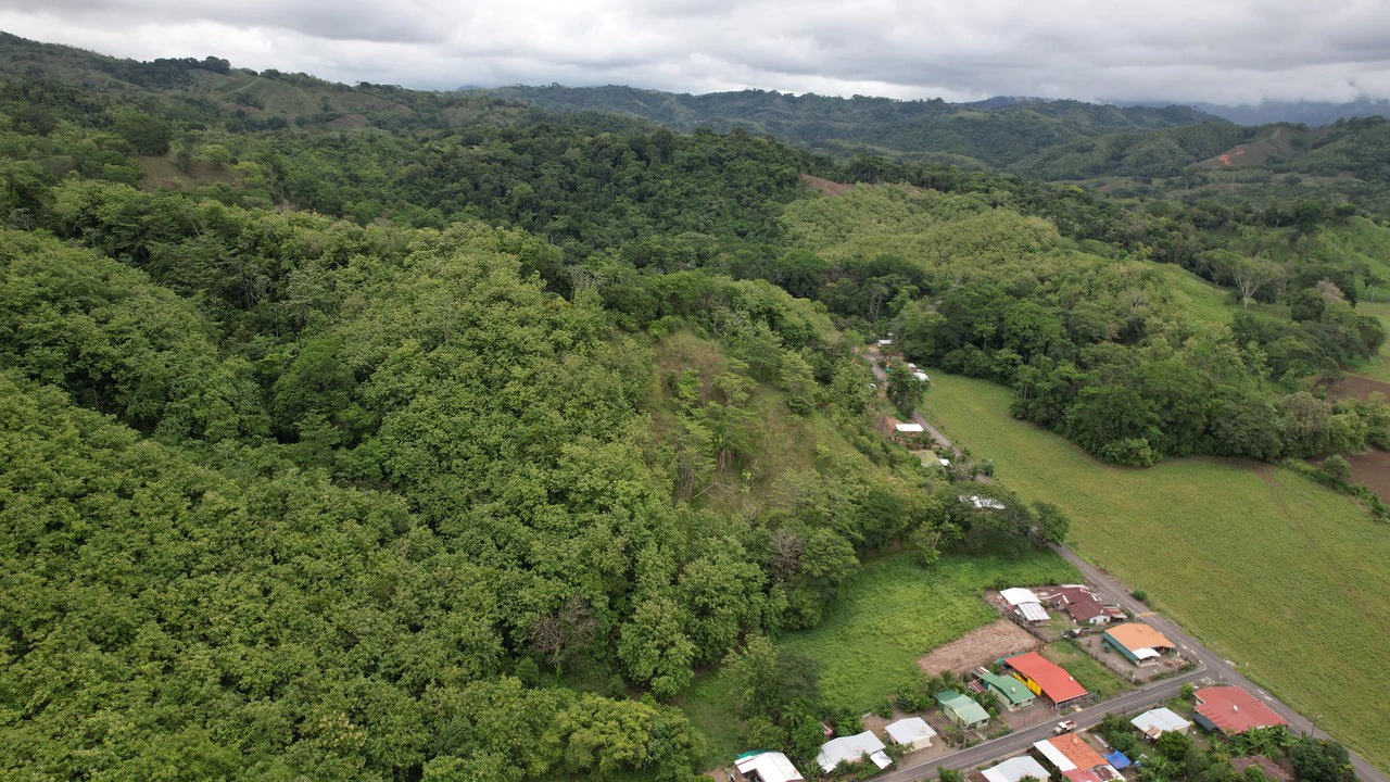 Finca Linda vista: Property for sale with flat land and small mountain with terrace to build and incredible views - Gallery image 5