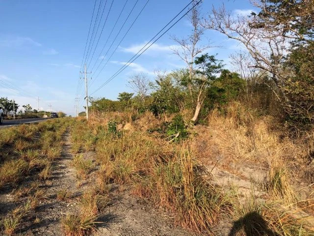 Commercial Property for sale, Located directly in front of the national Route #21 and Diagonal from the new project NYA - Gallery image 8