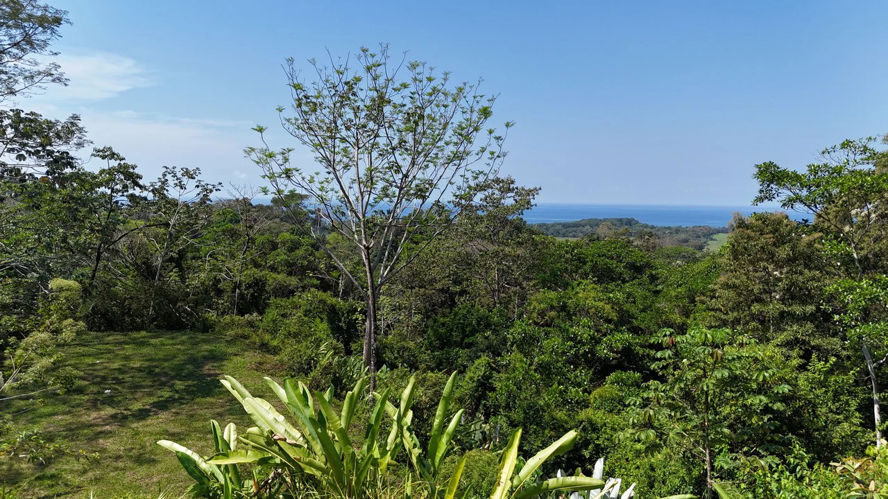 Exceptional Development Opportunity 71 acre Riverfront & Ocean View in Hatillo - Gallery image 17