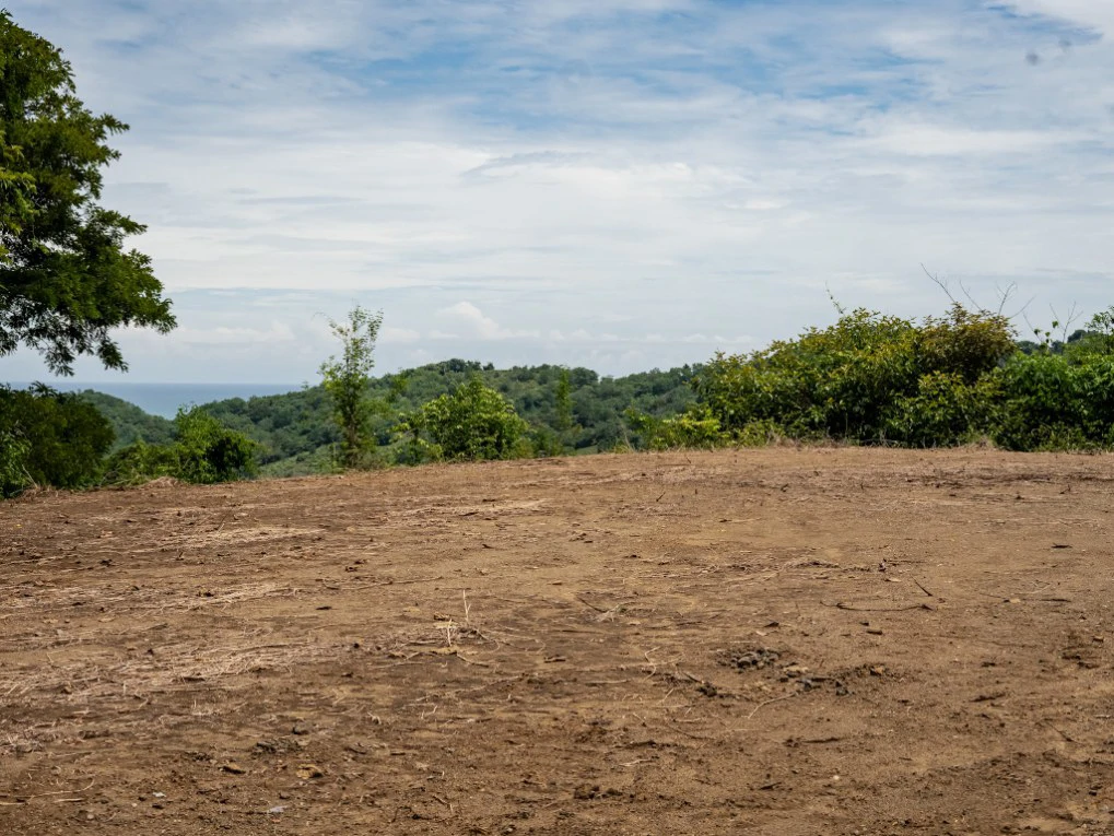 Lote Vista Lapa - 2.1 Acre Ocean View Lot: Countryside Home Construction Site For Sale in Playa Samara - Gallery image 8