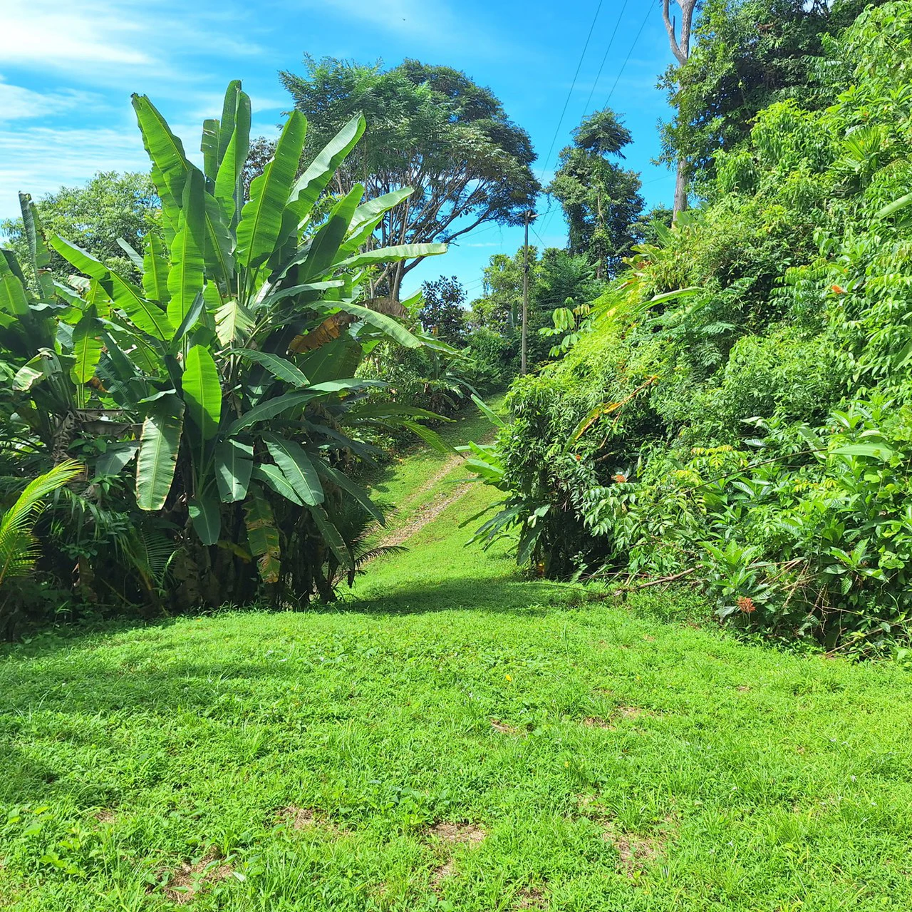Exceptional Ocean & Mountain View Property in Pinuela Arriba, Costa Rica - Gallery image 15