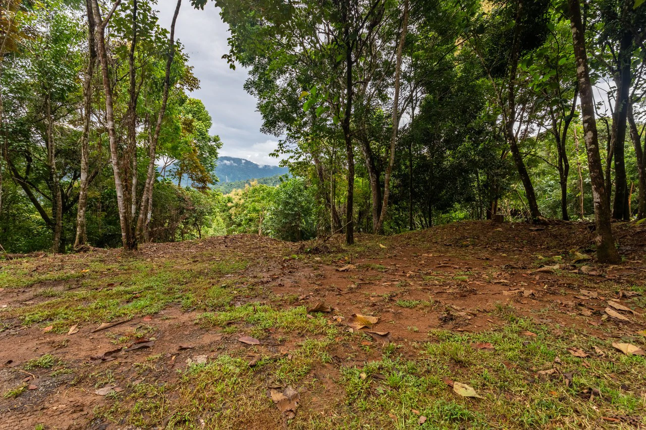 2.4 Acre Property In The Mountains Above Dominical with Waterfall Views - Gallery image 3