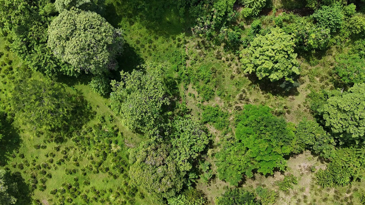 Walk to the beach, Developement Land, Mini Ranch, Central Uvita - Gallery image 9