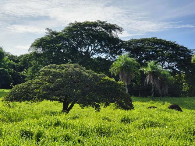 Charming property for sale in Nueva Guatemala with stunning views of the Tenorio Volcano and the beautiful green valleys - Gallery image 20