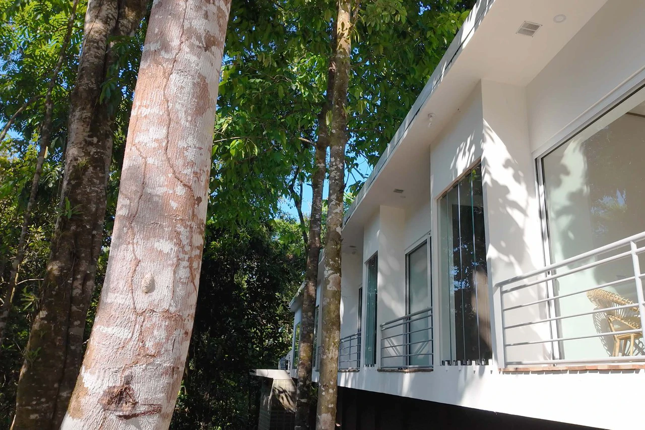 Casa Bromelia:  Brand-New 4 bed/4bath Modern Tropical Elegance North of Dominical - Gallery image 5