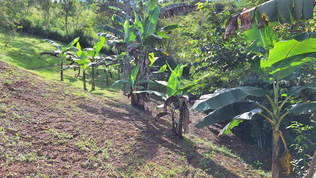 Countryside Home Construction Site For Sale in El Rosario de Pacuar - Gallery image 9