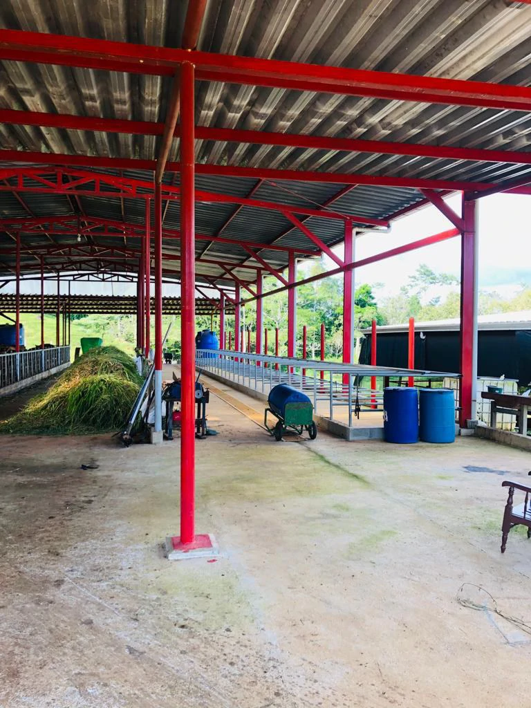 Professional Milk Factory for Sale with a big house in the mountains of Bijagua Costa Rica - Gallery image 22