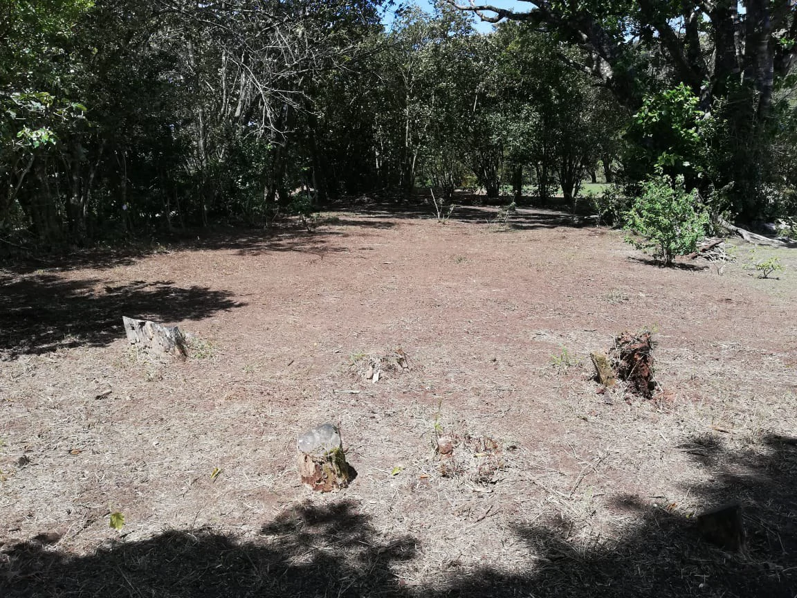Monteverde Acosta: Countryside and Mountain Home Construction Site For Sale in Santa Elena - Gallery image 8